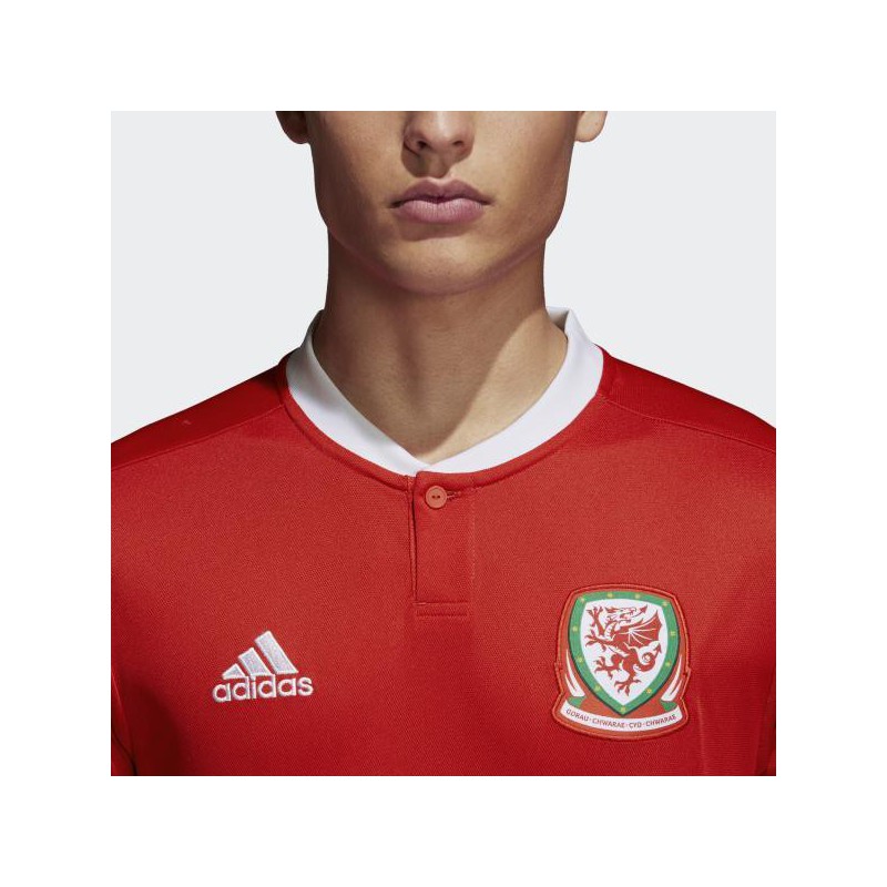 Realistic soccer shirt wales home jersey Vector Image